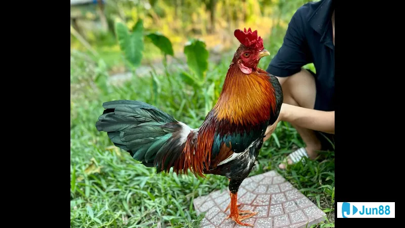 Kiểm tra sức khỏe định kỳ