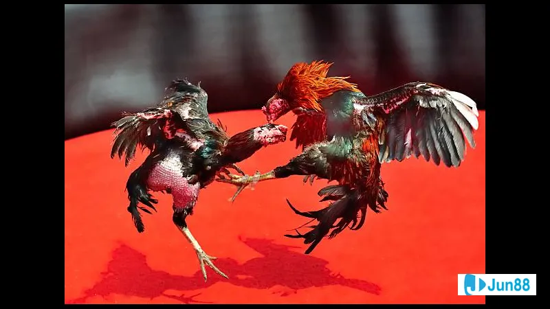 Đá lườn dẫn đường