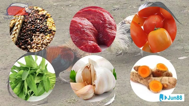 Bệnh cúm gia cầm